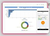 【鵬力在線進銷存ERP找廈門鵬為軟件?高水平的ERP】,價格,廠家,供應商,軟件開發