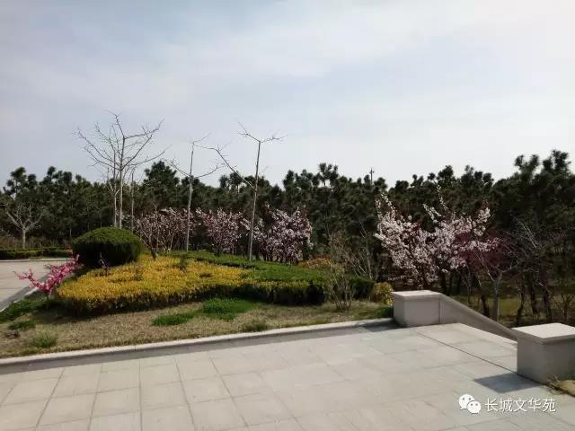 又是一年春來到，長城文華花苑邀您賞春洗肺(圖4)