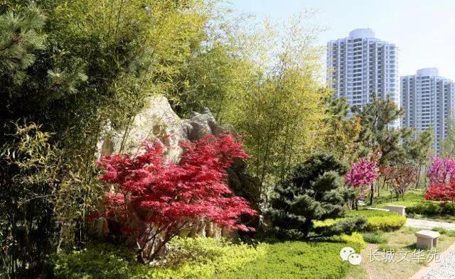 又是一年春來到，長城文華花苑邀您賞春洗肺(圖1)