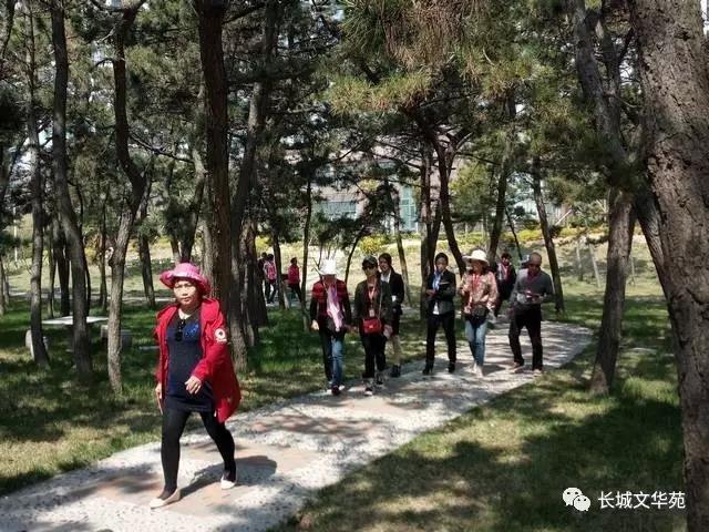 又是一年春來到，長城文華花苑邀您賞春洗肺(圖7)