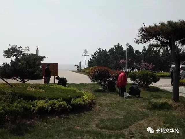 又是一年春來到，長城文華花苑邀您賞春洗肺(圖9)