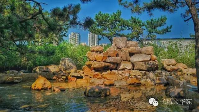 又是一年春來到，長城文華花苑邀您賞春洗肺(圖16)