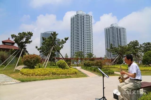 與其送她999朵玫瑰，不如帶她來銀灘來乳山一次！(圖1)